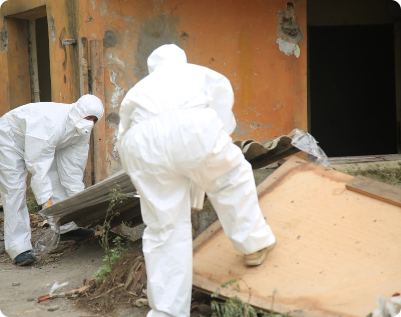 shutterstock_2065720931