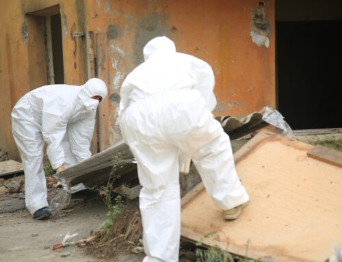 All About Asbestos Removal in Wollongong
