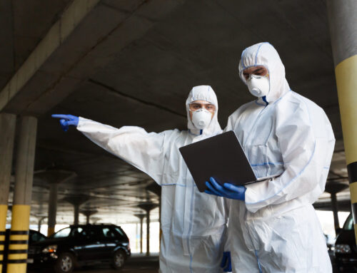 Where to Find Licensed Asbestos Removal Services in Wollongong